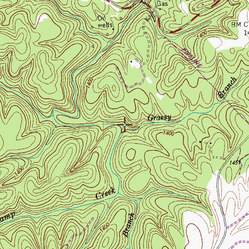 Topographic Map of Grassy Branch, TN