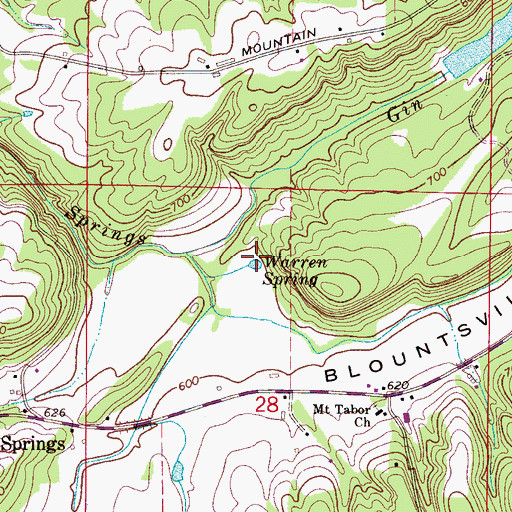 Topographic Map of Warren Spring, AL