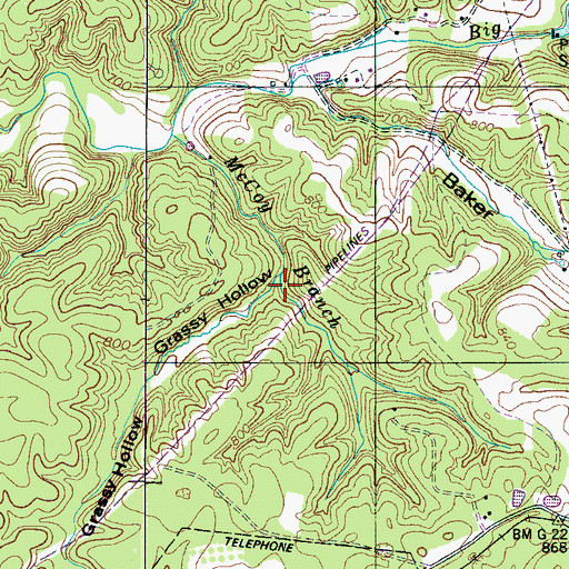 Topographic Map of Grassy Hollow, TN
