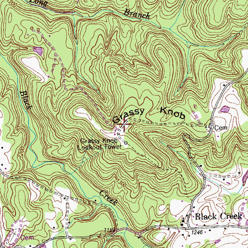 Topographic Map of Grassy Knob, TN