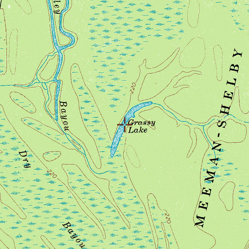 Topographic Map of Grassy Lake, TN
