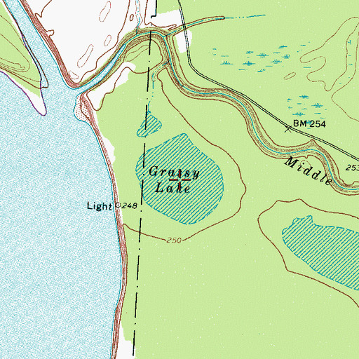 Topographic Map of Grassy Lake, TN