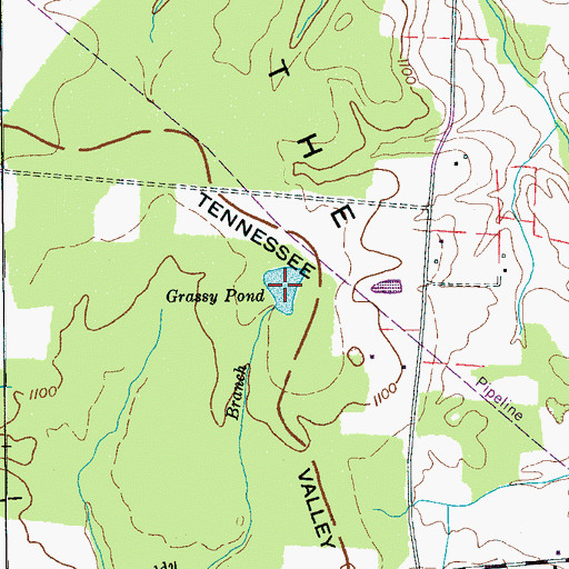 Topographic Map of Grassy Pond, TN