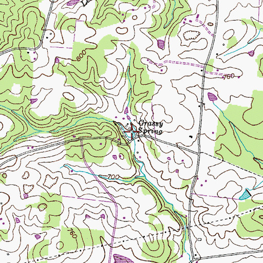 Topographic Map of Grassy Spring, TN