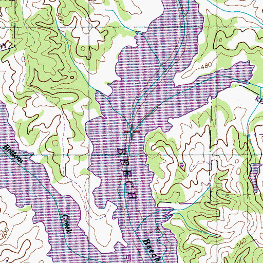 Topographic Map of Graves Branch, TN