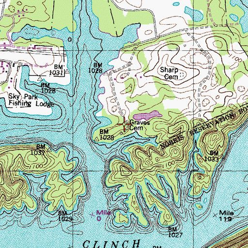 Topographic Map of Graves Cemetery, TN