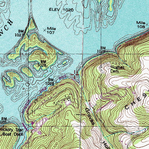 Topographic Map of Graves Hollow, TN