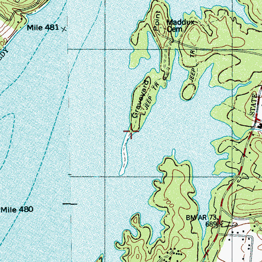 Topographic Map of Graveyard Point, TN