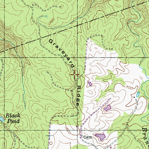 Topographic Map of Graveyard Ridge, TN