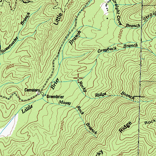Topographic Map of Grayback Branch, TN