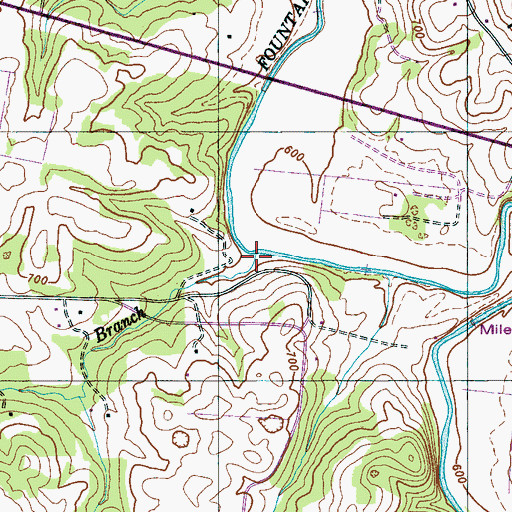 Topographic Map of Greasy Branch, TN