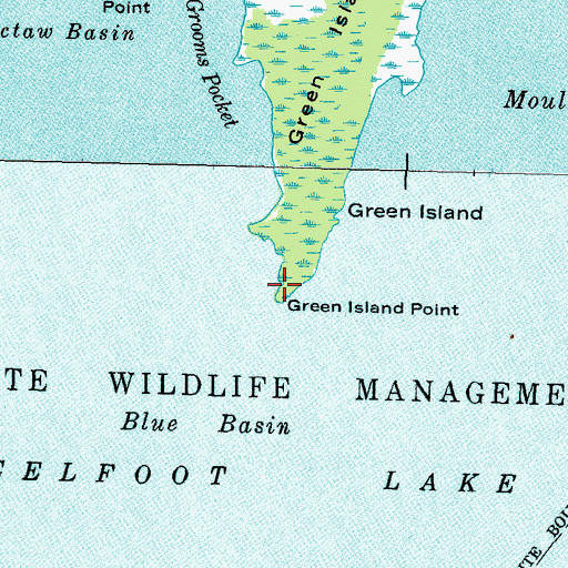 Topographic Map of Green Island Point, TN