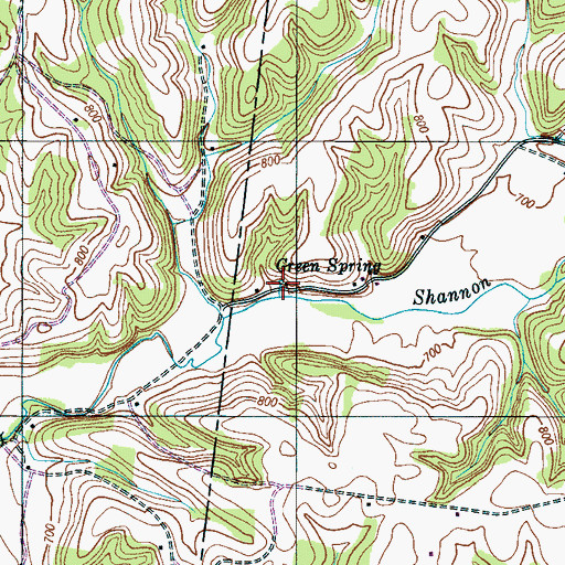 Topographic Map of Green Spring, TN