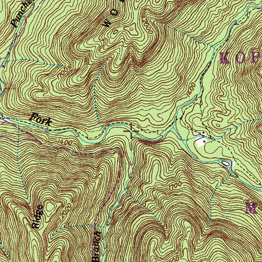 Topographic Map of Greens Branch, TN