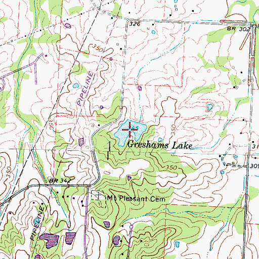 Topographic Map of Greshams Lake, TN