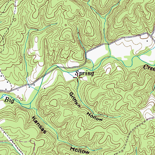 Topographic Map of Griffen Hollow, TN