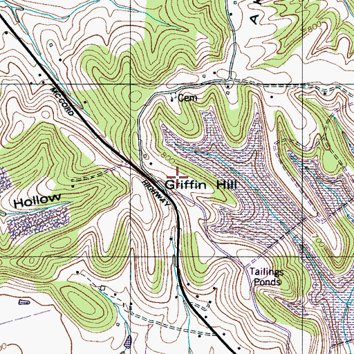 Topographic Map of Griffin Hill, TN