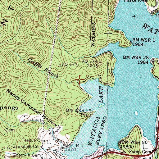 Topographic Map of Griffith Branch, TN