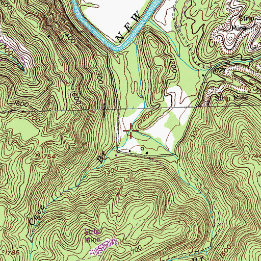 Topographic Map of Griffith Branch, TN