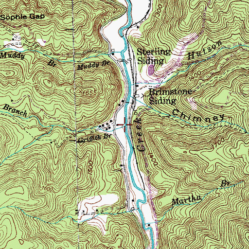 Topographic Map of Griffith Branch, TN