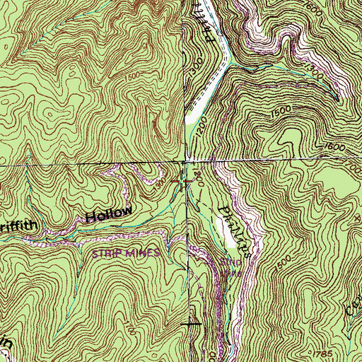 Topographic Map of Griffith Hollow, TN