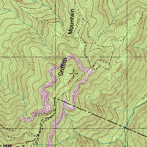 Topographic Map of Griffith Mountain, TN