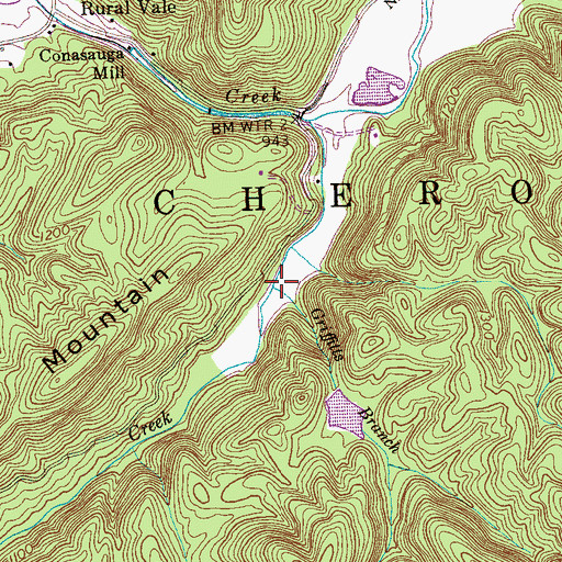 Topographic Map of Griffitts Branch, TN