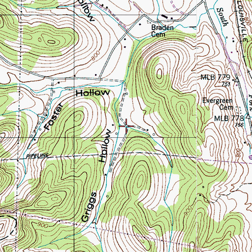 Topographic Map of Griggs Hollow, TN