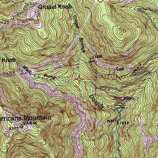 Topographic Map of Grissel Branch, TN