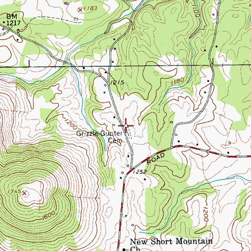 Topographic Map of Grizzle-Gunter Cemetery, TN
