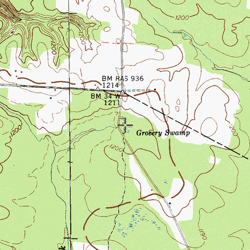 Topographic Map of Grocery Swamp, TN