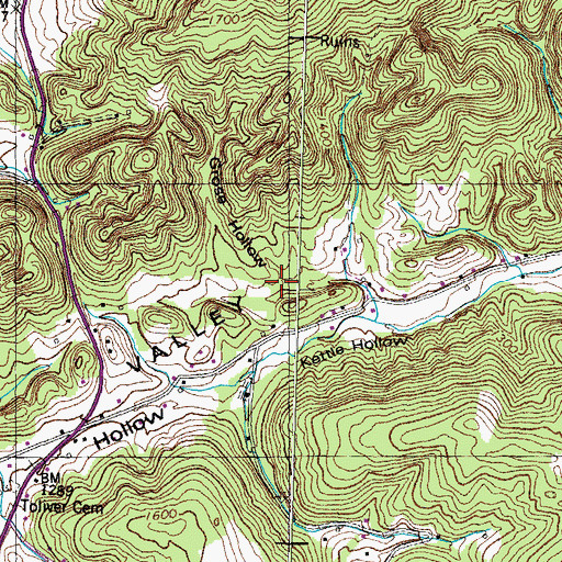 Topographic Map of Grose Hollow, TN