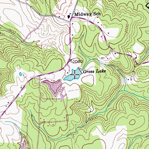 Topographic Map of Gross Lake, TN