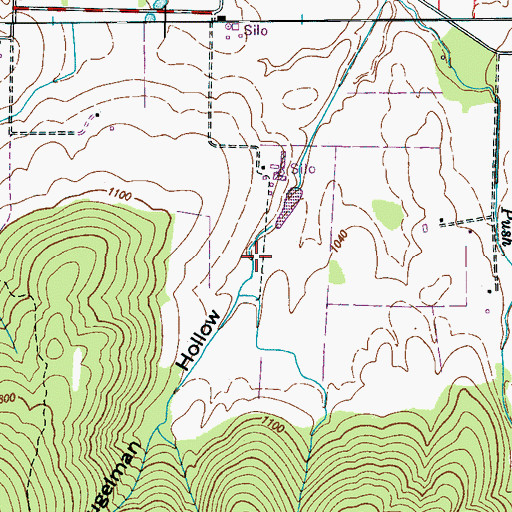 Topographic Map of Gugelman Hollow, TN
