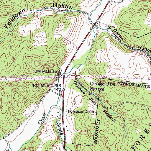 Topographic Map of Guinea Jim Hollow, TN