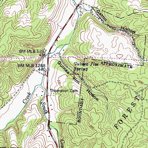 Topographic Map of Guinea Jim Spring, TN