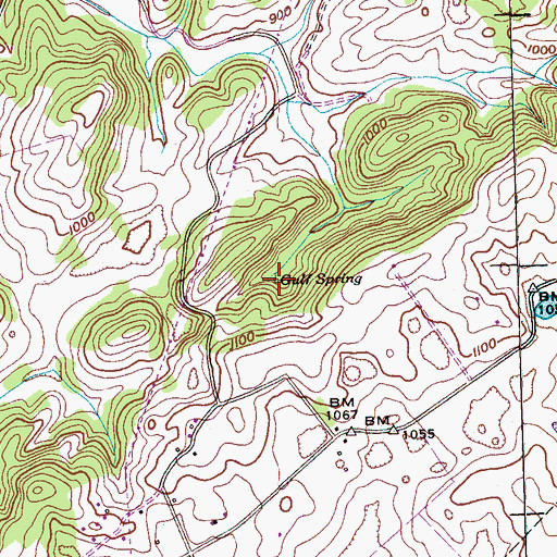 Topographic Map of Gulf Spring, TN