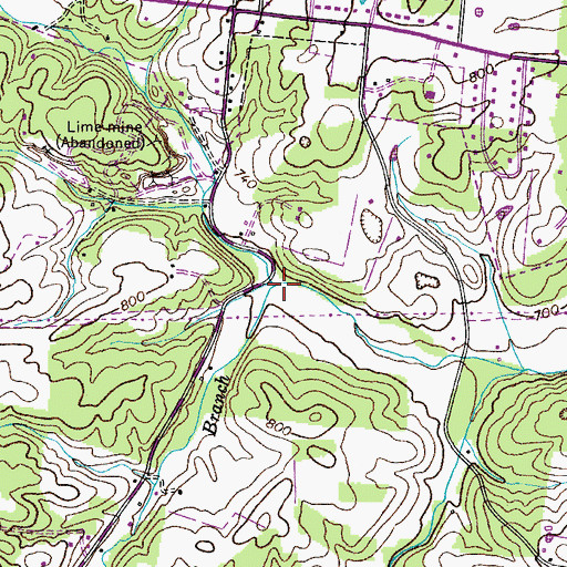 Topographic Map of Gum Branch, TN