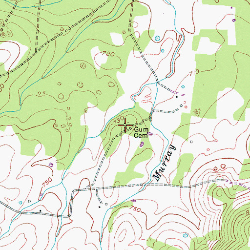Topographic Map of Gum Cemetery, TN