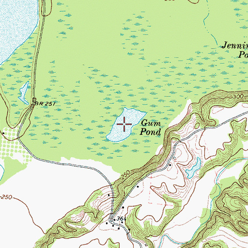 Topographic Map of Gum Pond, TN