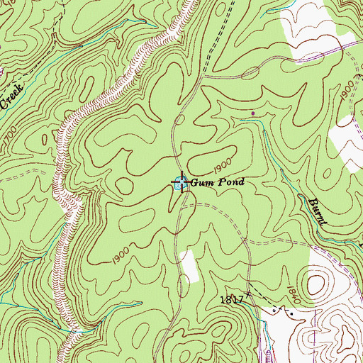 Topographic Map of Gum Pond, TN
