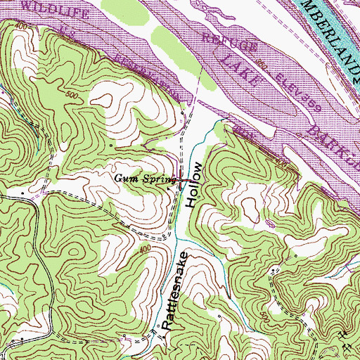 Topographic Map of Gum Spring, TN