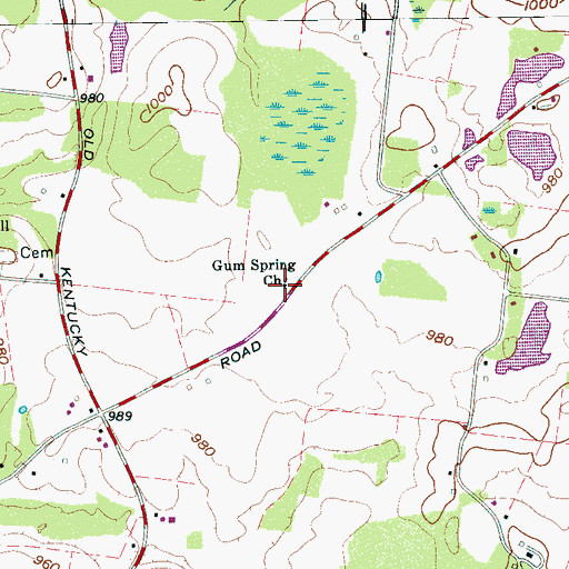 Topographic Map of Gum Spring Church, TN