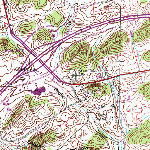 Topographic Map of Gunnings Cemetery, TN