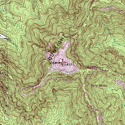 Topographic Map of Gunsight Mountain, TN