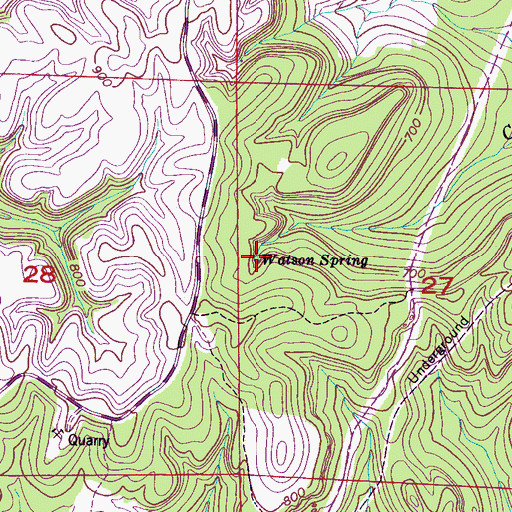 Topographic Map of Watson Spring, AL