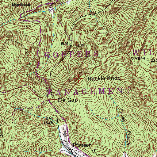 Topographic Map of Hackle Knob, TN