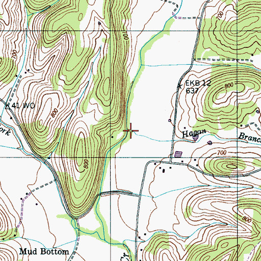 Topographic Map of Hagan Branch, TN