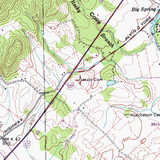 Topographic Map of Hale Cemetery, TN