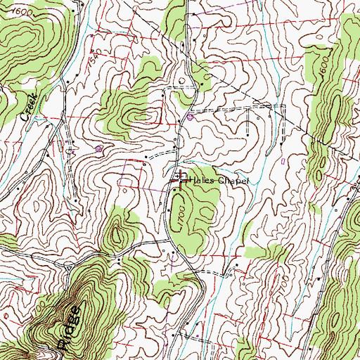 Topographic Map of Hales Chapel, TN